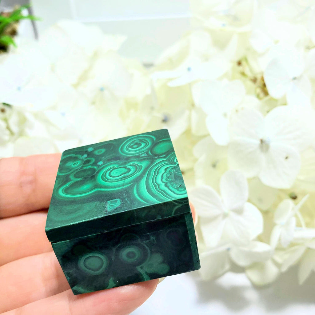 Incredible Malachite Carved Jewelry Box With Removable Lid #3 - Earth Family Crystals