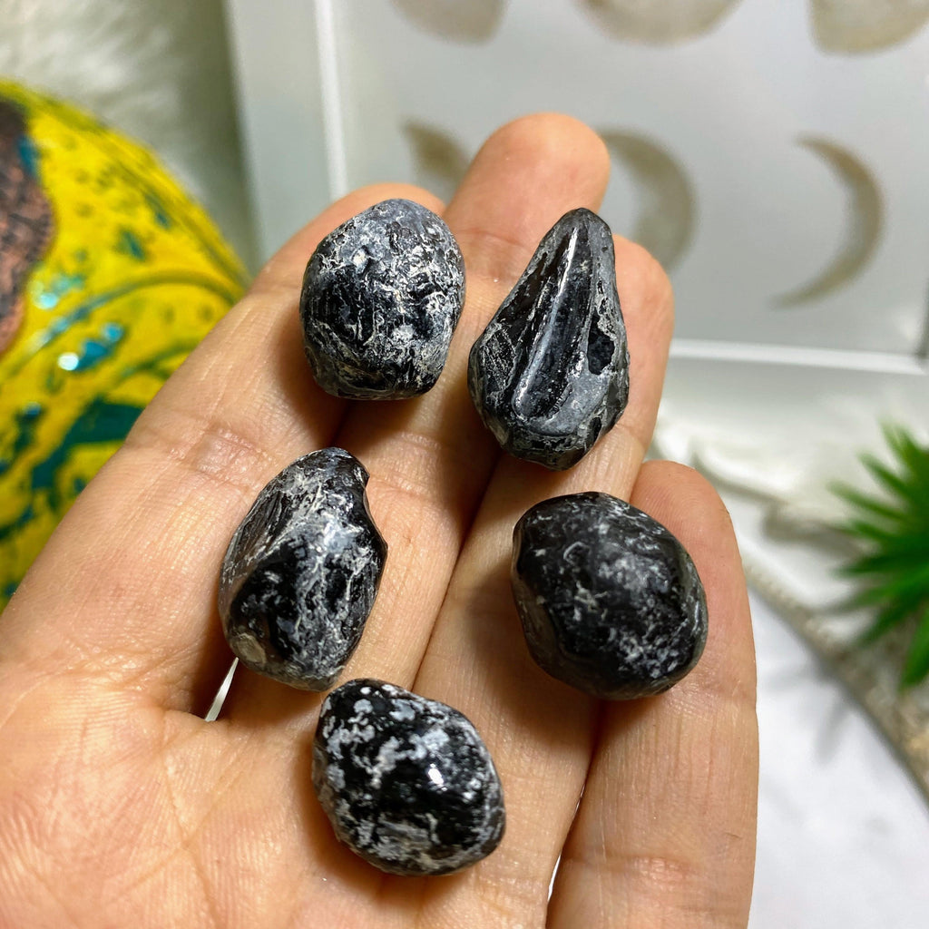 Set of 5 Natural Apache Tears From Arizona, USA - Earth Family Crystals