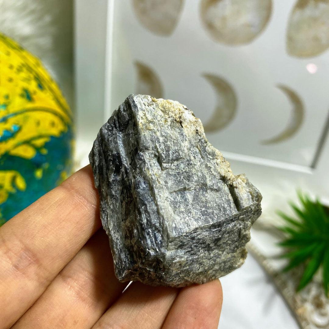 Very Rare Greenland Labradorite Natural & Hand Harvested  Collectors Specimen - Earth Family Crystals