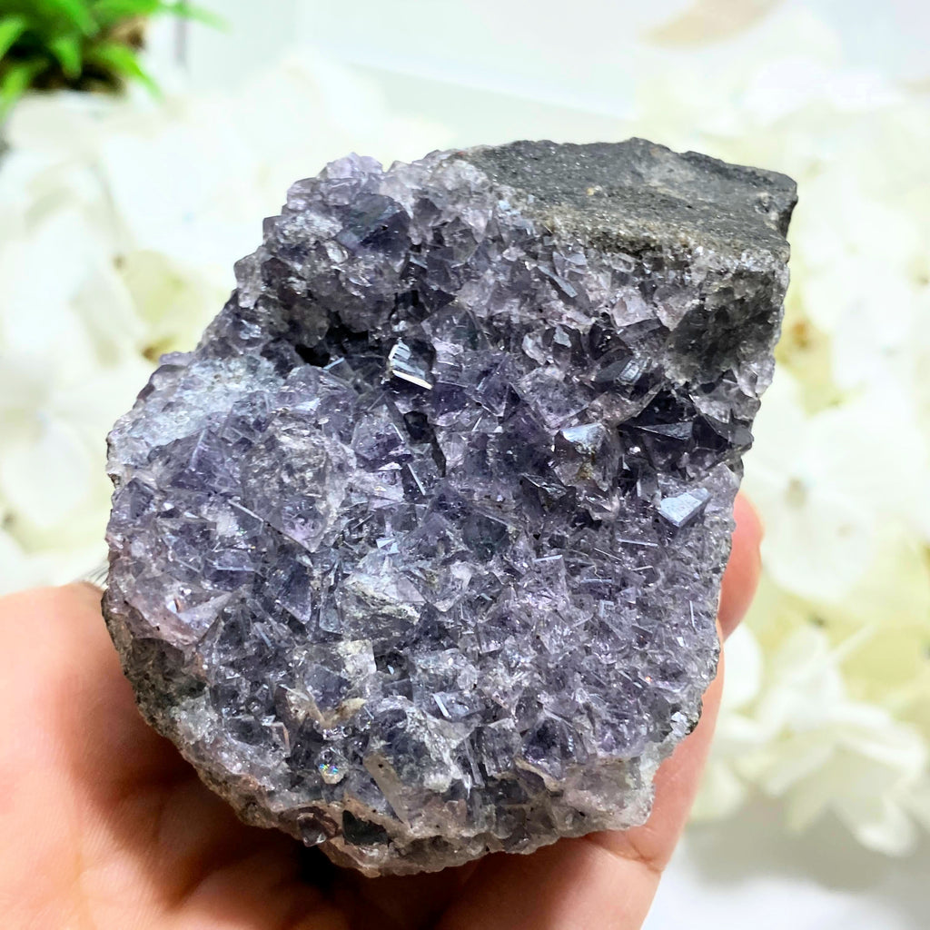 Rare Purple (Color Changing) Fluorite Large Specimen From Cumbria, England (With Collectors # on Back) - Earth Family Crystals