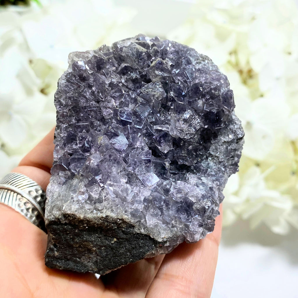 Rare Purple (Color Changing) Fluorite Large Specimen From Cumbria, England (With Collectors # on Back) - Earth Family Crystals