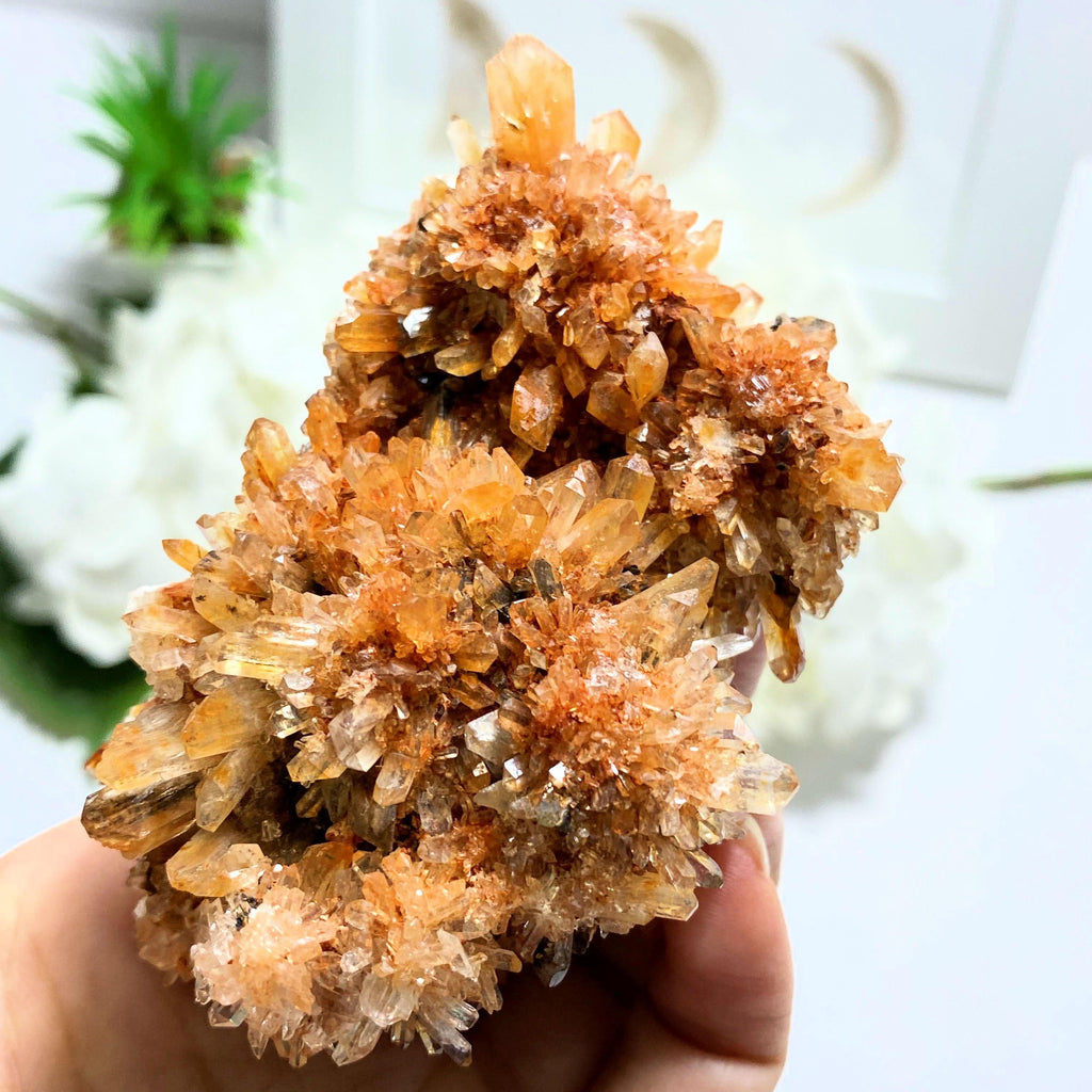 Incredible Rare Creedite Large Orange Natural Specimen~Locality Mexico - Earth Family Crystals