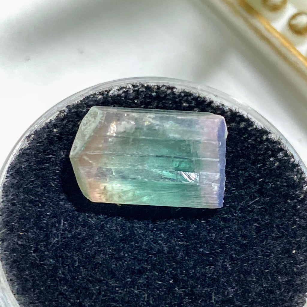Rare California Find! 7CT Indicolite Blue & Pink Tourmaline Terminated Point ~Locality: Oceanside, California - Earth Family Crystals