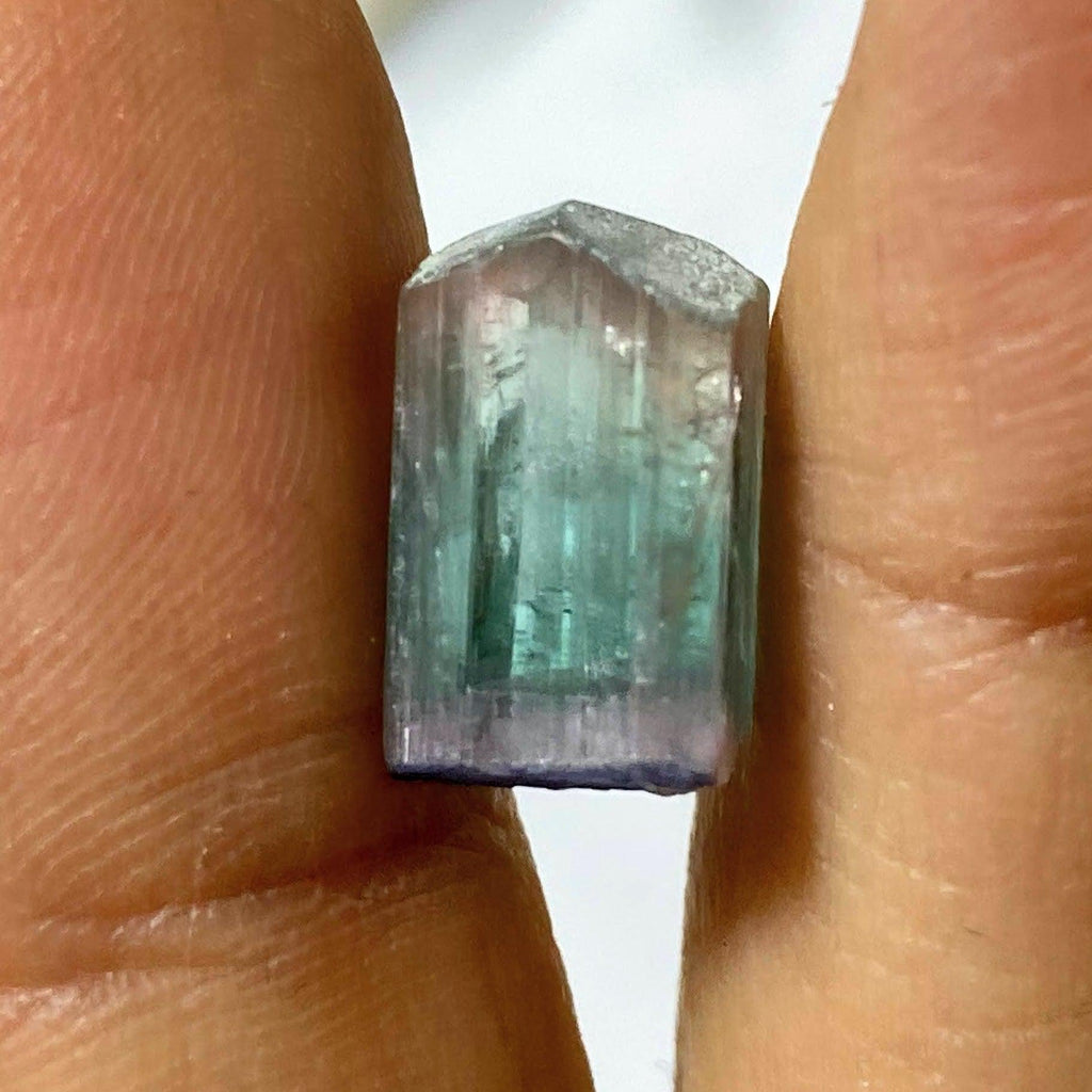 Rare California Find! 7CT Indicolite Blue & Pink Tourmaline Terminated Point ~Locality: Oceanside, California - Earth Family Crystals