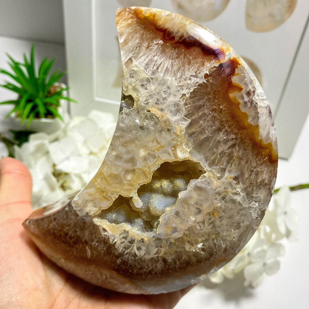 Sparkling Crescent Moon Agate Geode XL Display Specimen ~Locality Brazil - Earth Family Crystals