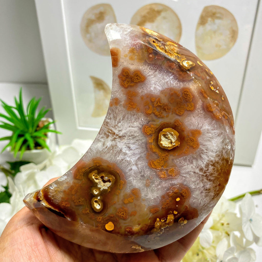 Sparkling Crescent Moon Agate Geode XL Display Specimen ~Locality Brazil - Earth Family Crystals
