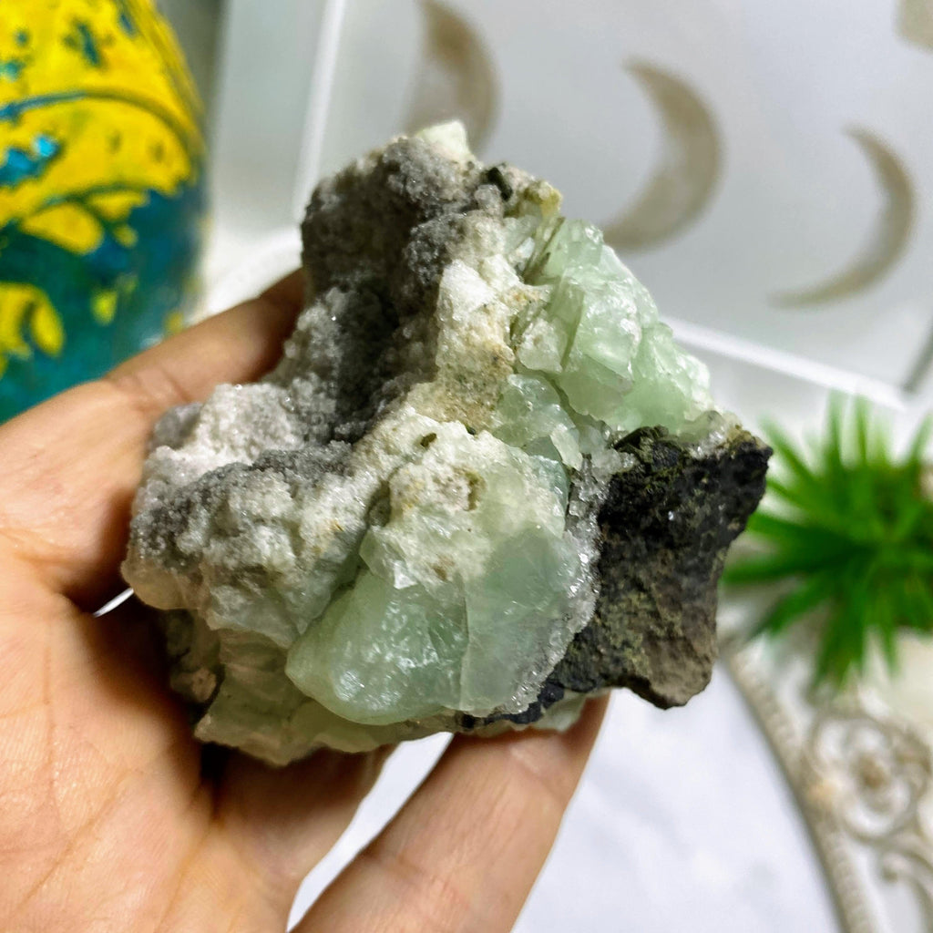 Stunning Natural Green Prehnite Geode Specimen - Earth Family Crystals