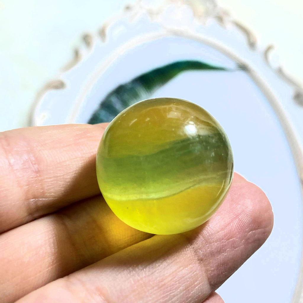 Adorable Vibrant Golden & Green Fluorite Small Sphere Carving - Earth Family Crystals