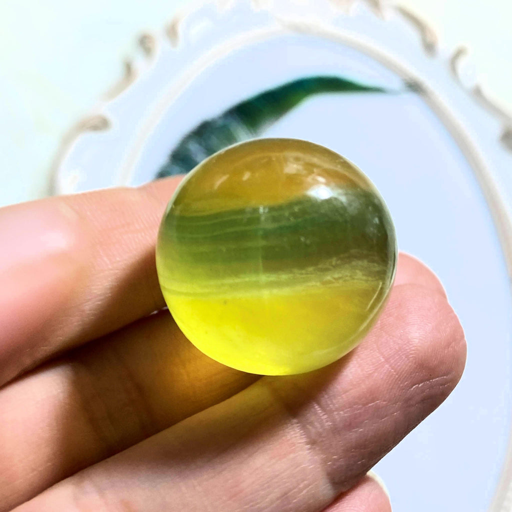 Adorable Vibrant Golden & Green Fluorite Small Sphere Carving - Earth Family Crystals