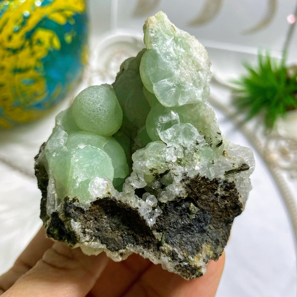 Stunning Natural Green Prehnite Geode Specimen - Earth Family Crystals
