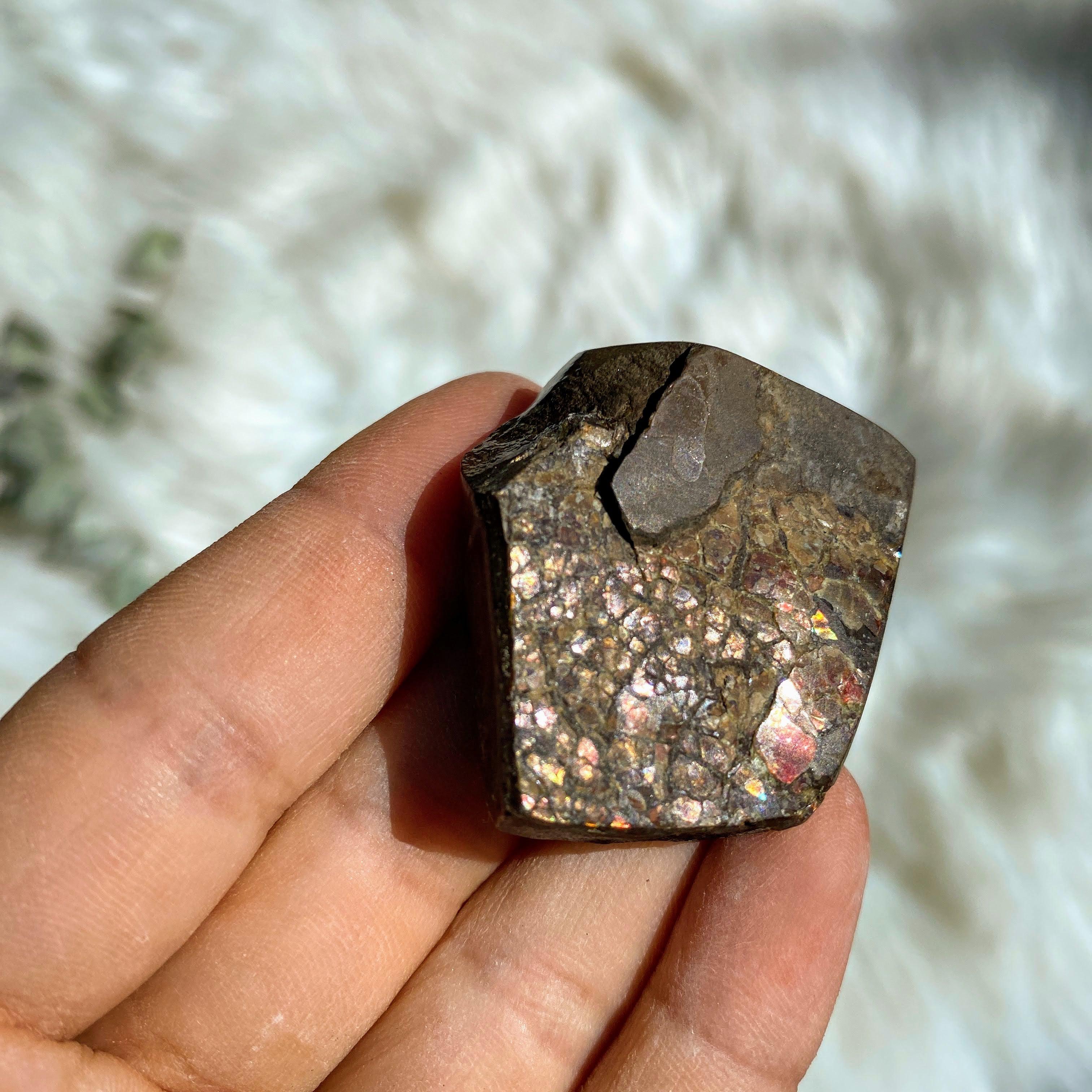Rare Double Sided Flashes!  Colorful Alberta Ammolite Fossil Chunky Specimen - Earth Family Crystals