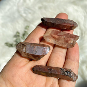 Set of 4 Red Hematoid Quartz Natural Points from Madagascar - Earth Family Crystals