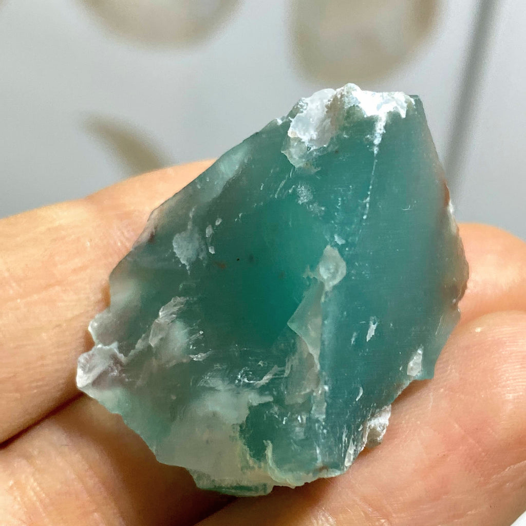 Reserved for Sandy Rare & Gorgeous Color! Aquaprase Natural Collectors Specimen~Locality: Africa - Earth Family Crystals