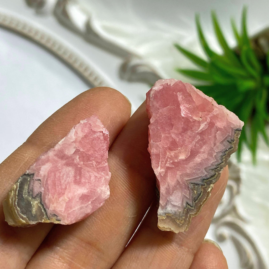 Set of 2 Natural Rhodochrosite Unpolished Slice Specimens From Argentina - Earth Family Crystals