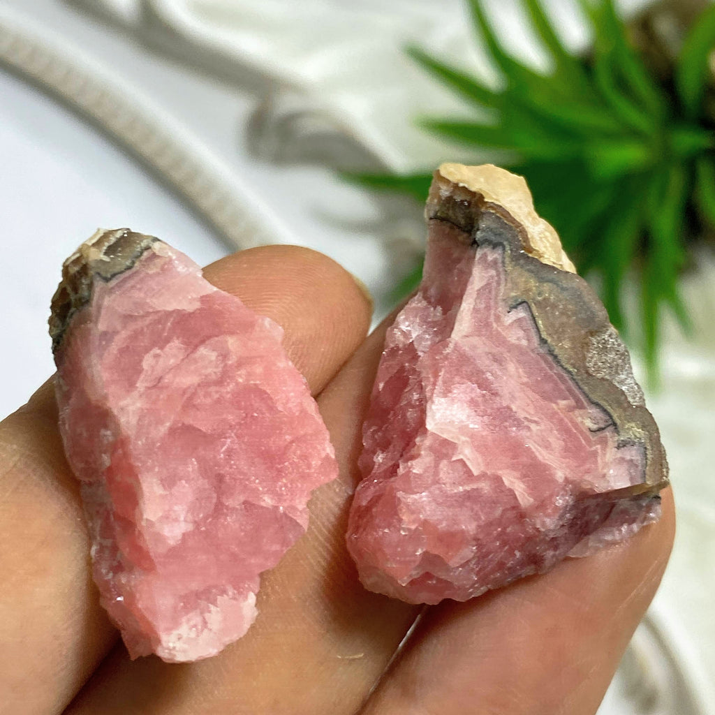 Set of 2 Natural Rhodochrosite Unpolished Slice Specimens From Argentina - Earth Family Crystals