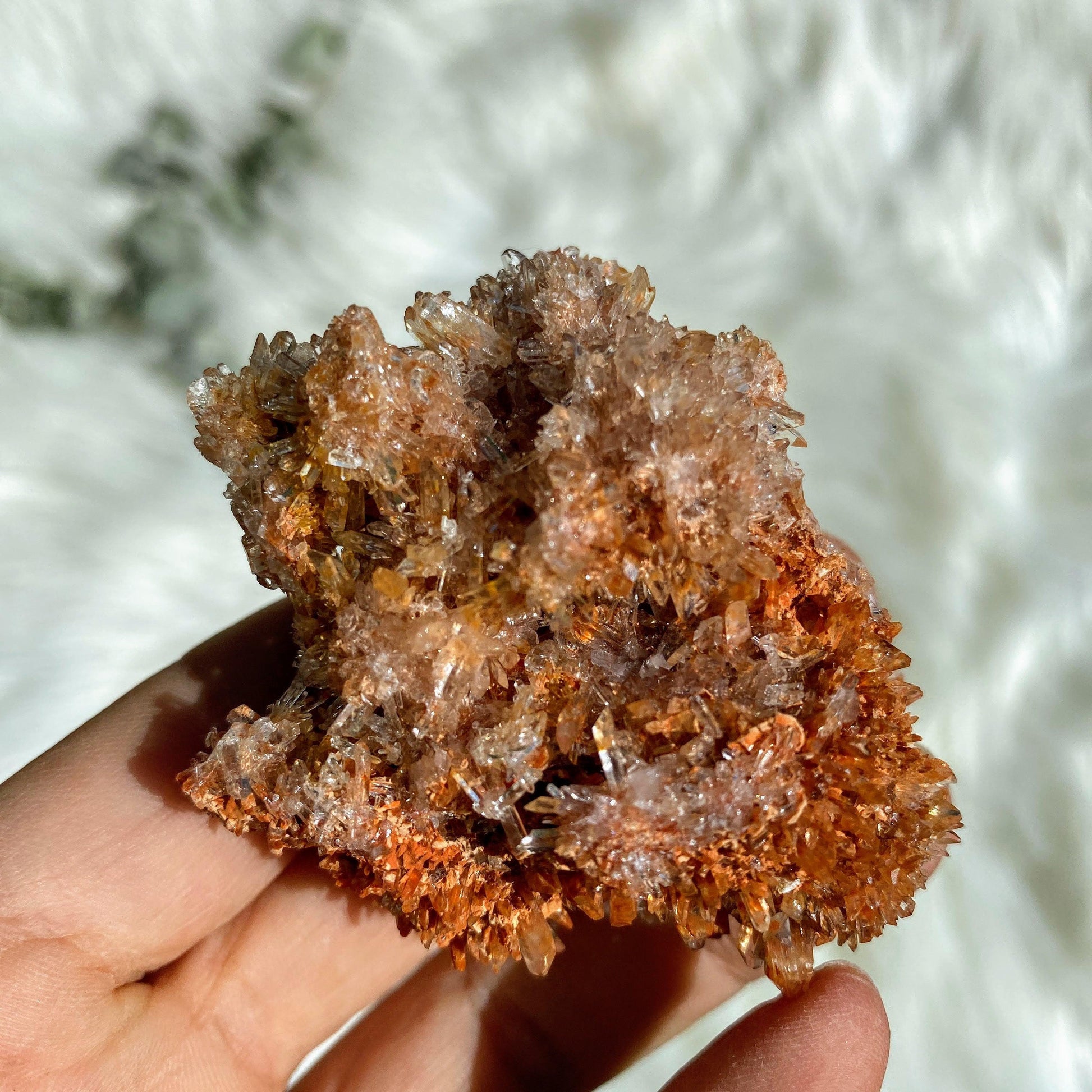 Sparkly Spiky Orange Creedite Specimen -Locality Mexico - Earth Family Crystals