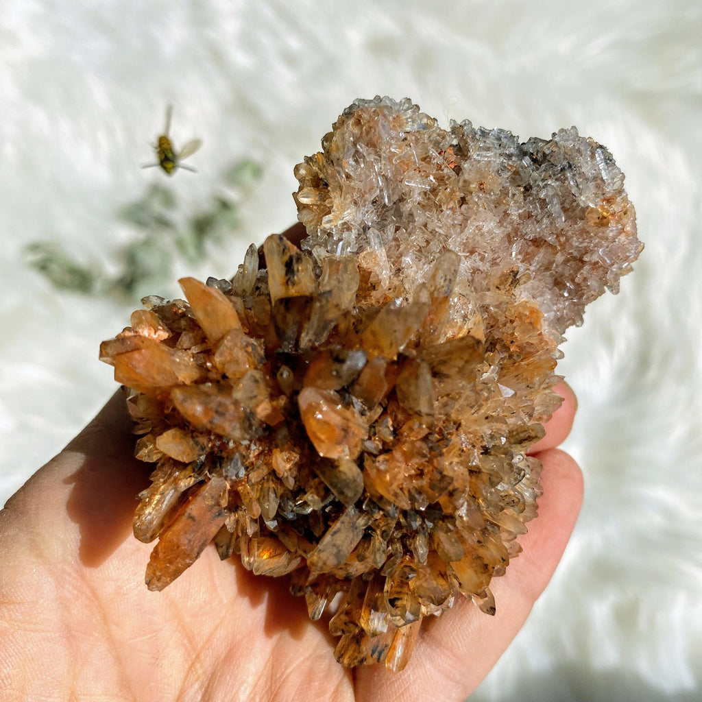 Incredible Sparkle & Fluorite Inclusions! Orange & Black  Creedite Natural Specimen -Locality Mexico - Earth Family Crystals