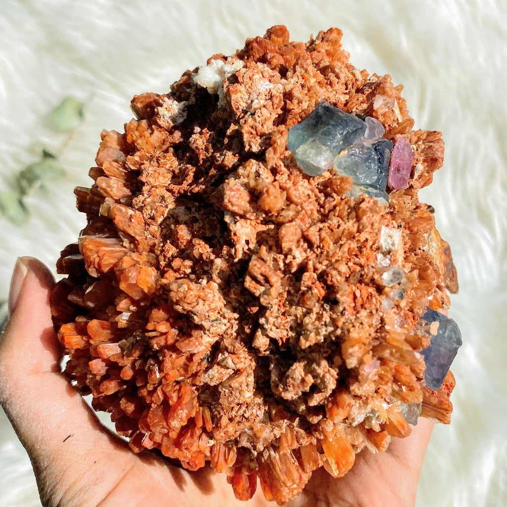 Fabulous Turquoise Fluorite Inclusions XL Deep Orange Creedite Natural Specimen -Locality Mexico - Earth Family Crystals
