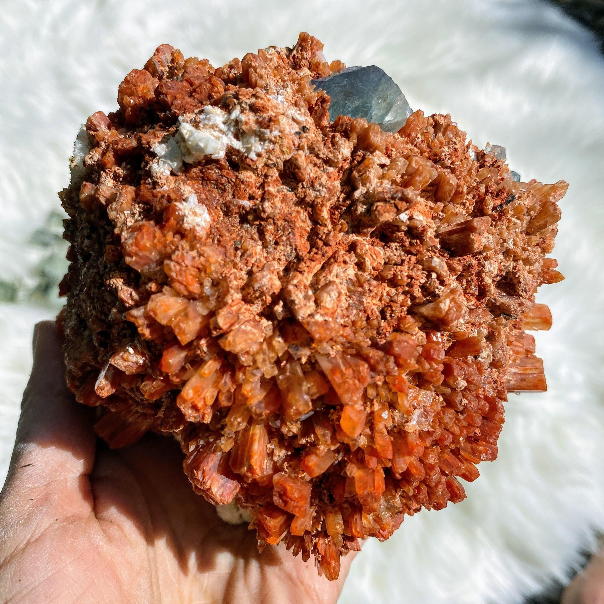 Fabulous Turquoise Fluorite Inclusions XL Deep Orange Creedite Natural Specimen -Locality Mexico - Earth Family Crystals