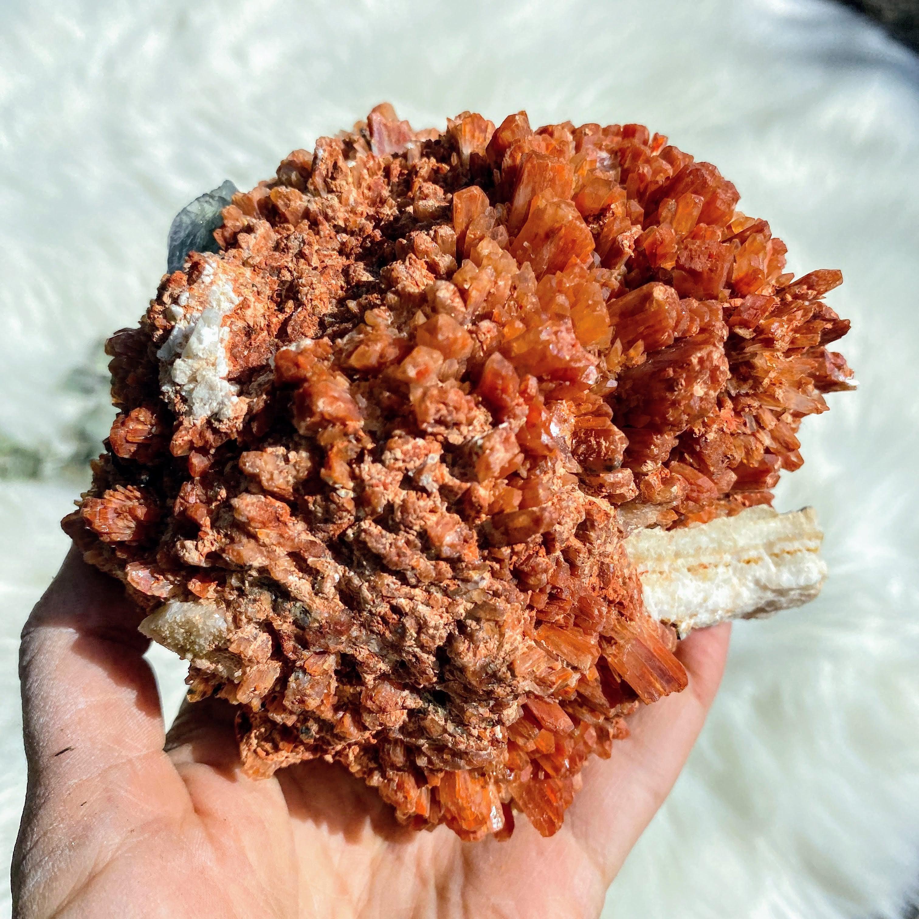 Fabulous Turquoise Fluorite Inclusions XL Deep Orange Creedite Natural Specimen -Locality Mexico - Earth Family Crystals
