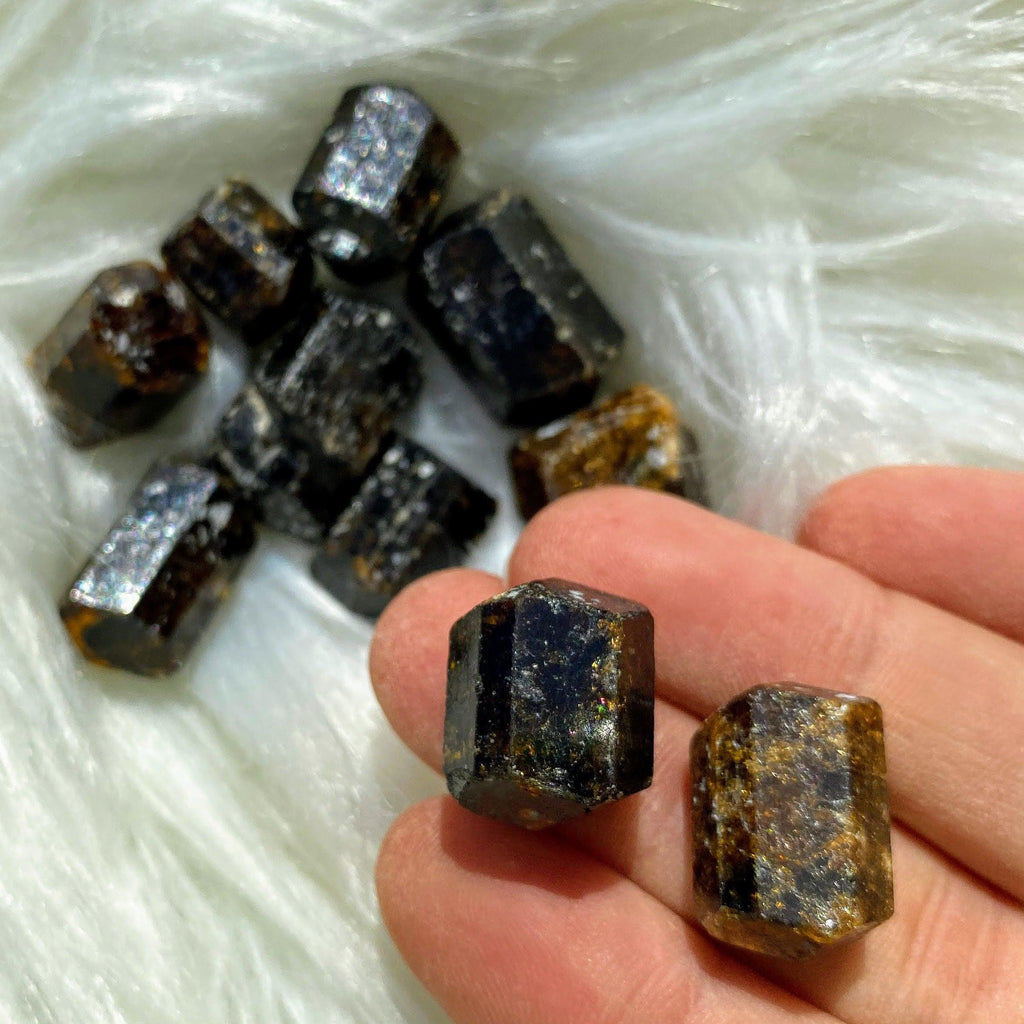 Set of 2~ Double Terminated Dravite Brown Tourmaline Crystals - Earth Family Crystals