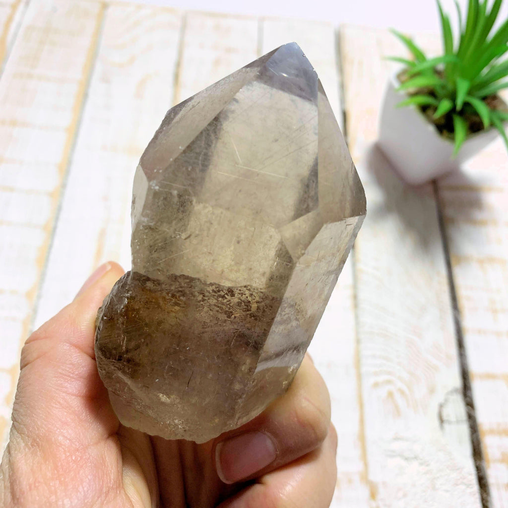 Completely Natural Rutilated Smoky Quartz Point Specimen~Locality Brazil - Earth Family Crystals