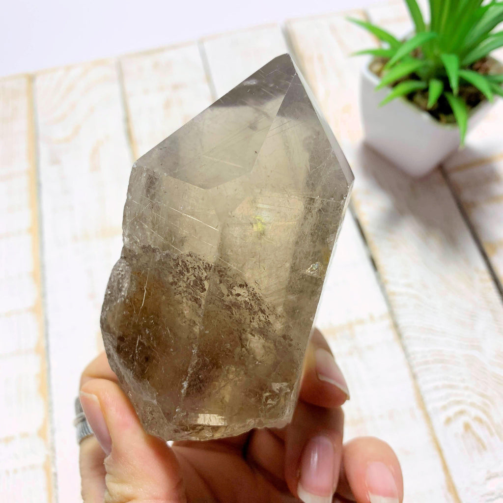 Completely Natural Rutilated Smoky Quartz Point Specimen~Locality Brazil - Earth Family Crystals