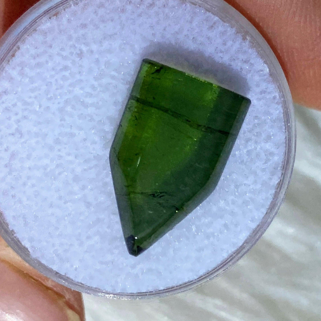 Rare 10.5CT Polished Green Tourmaline Point In Collectors Box - Earth Family Crystals