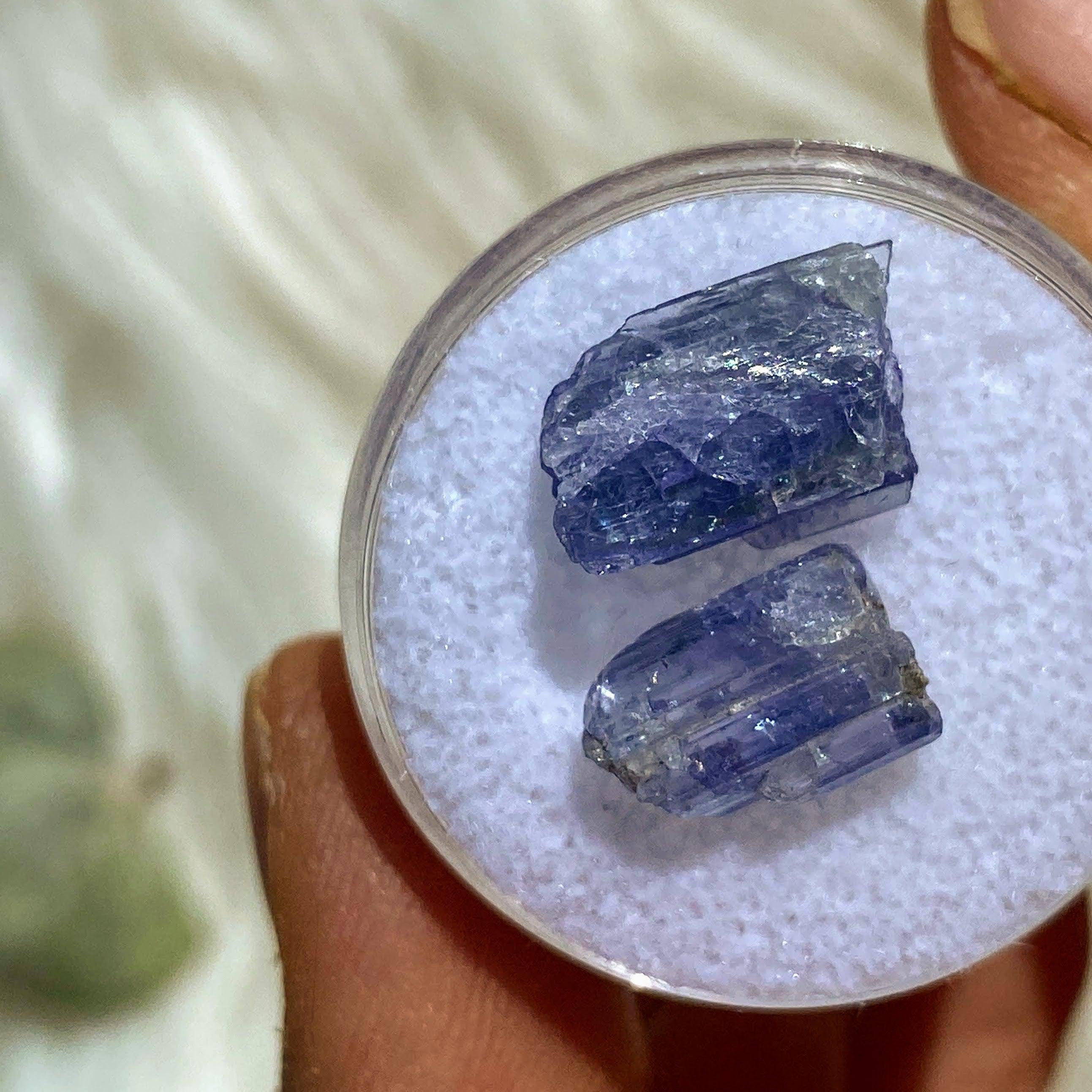 8.5 CT Terminated Gemmy Natural Tanzanite Specimens in Collectors Box - Earth Family Crystals