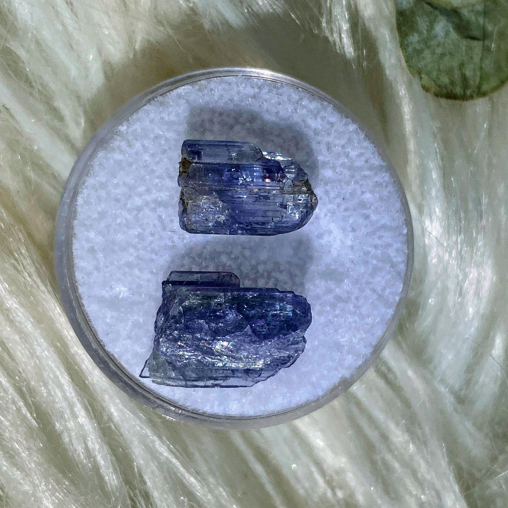 8.5 CT Terminated Gemmy Natural Tanzanite Specimens in Collectors Box - Earth Family Crystals
