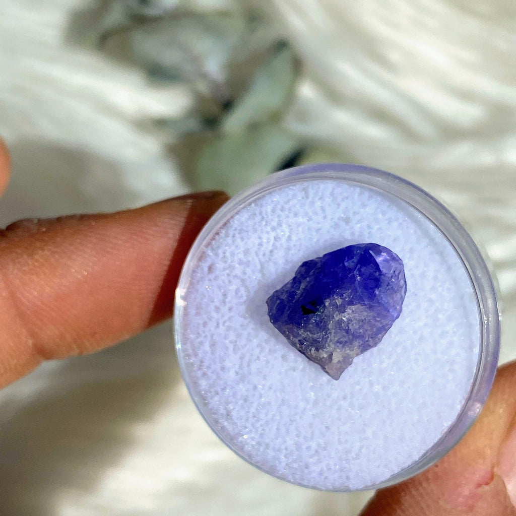 5.5 CT Terminated Gemmy Natural Tanzanite Specimen in Collectors Box - Earth Family Crystals