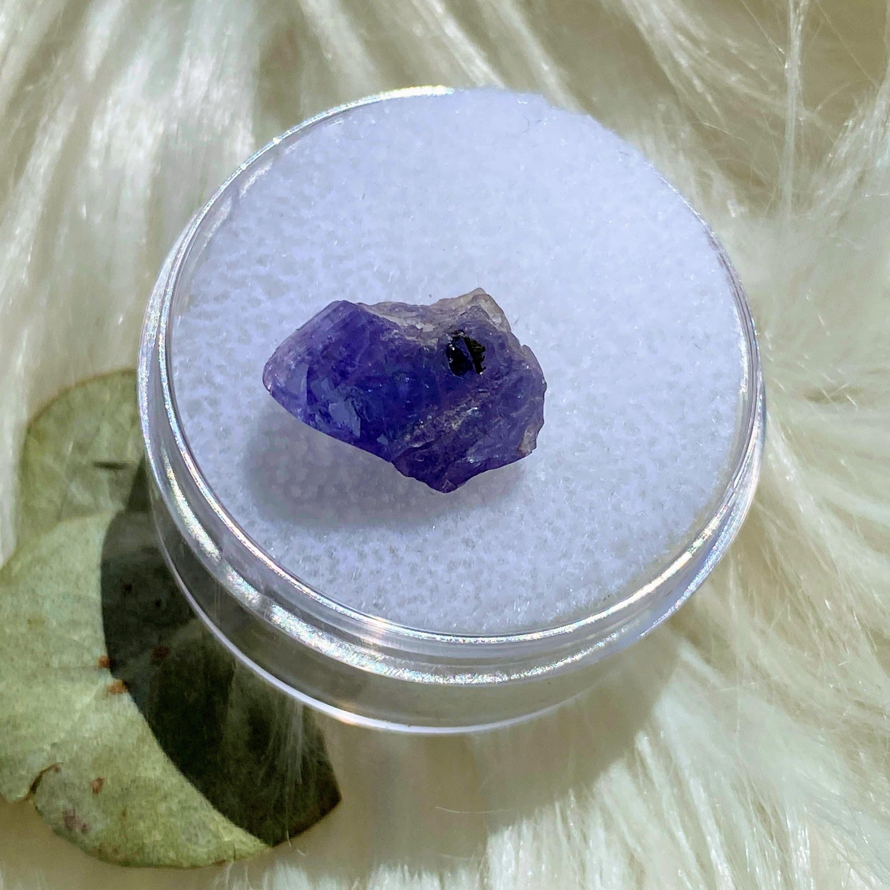 5.5 CT Terminated Gemmy Natural Tanzanite Specimen in Collectors Box - Earth Family Crystals