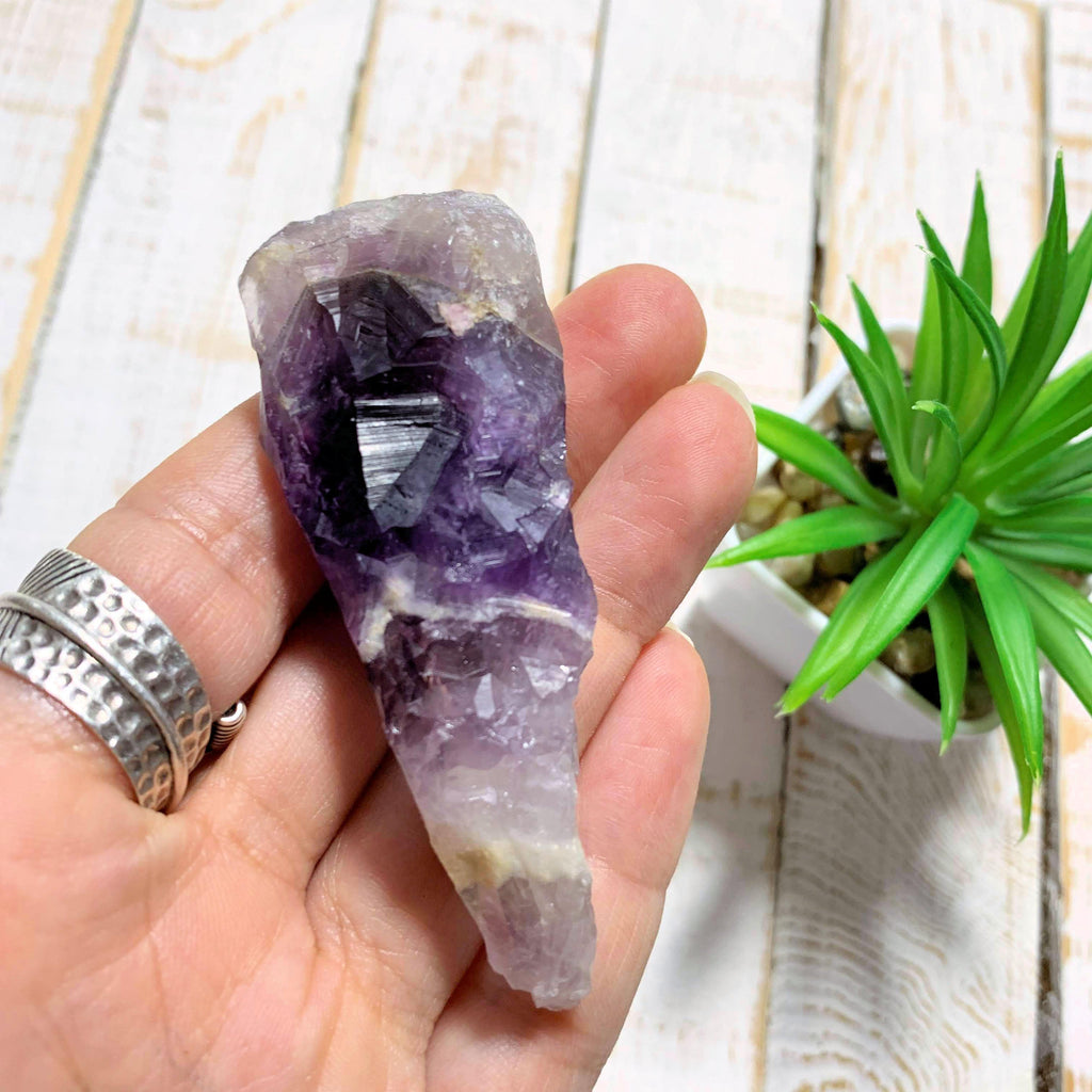 Raw Purple Chevron  Amethyst Point From Ontario, Canada - Earth Family Crystals