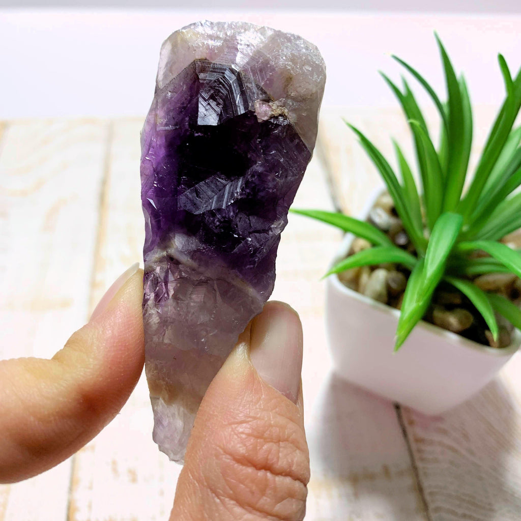 Raw Purple Chevron  Amethyst Point From Ontario, Canada - Earth Family Crystals