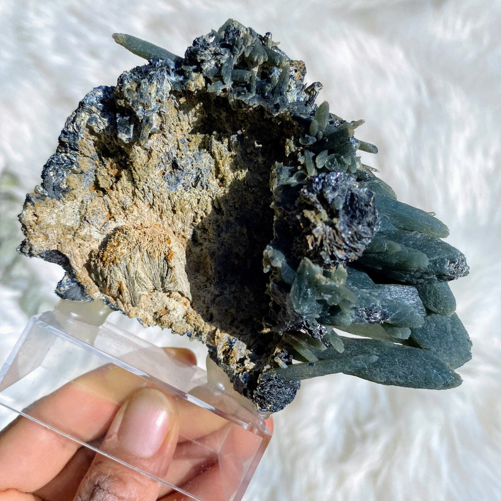 Very Rare XL Greek Seriphos Green Quartz Points Nestled On Crystal Matrix on Display Stand~Locality: Serifos, Greece - Earth Family Crystals