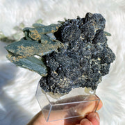 Very Rare XL Greek Seriphos Green Quartz Points Nestled On Crystal Matrix on Display Stand~Locality: Serifos, Greece - Earth Family Crystals
