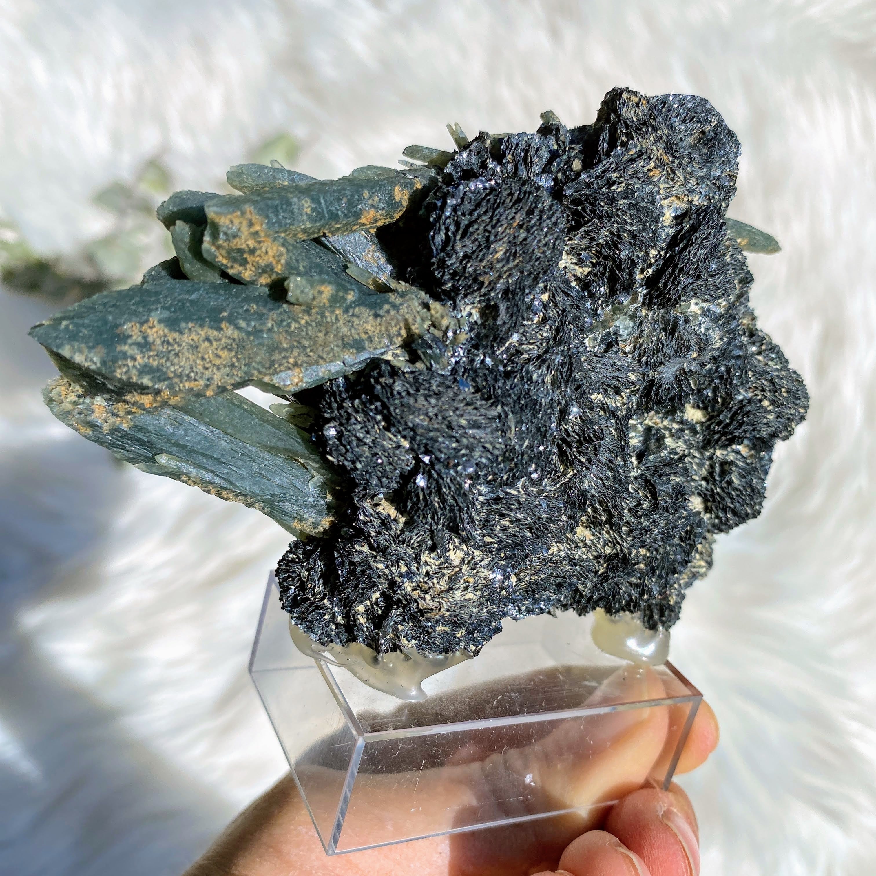Very Rare XL Greek Seriphos Green Quartz Points Nestled On Crystal Matrix on Display Stand~Locality: Serifos, Greece - Earth Family Crystals
