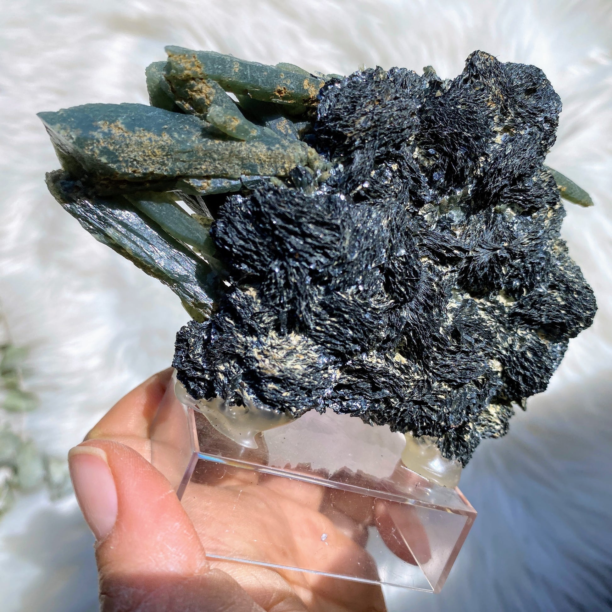 Very Rare XL Greek Seriphos Green Quartz Points Nestled On Crystal Matrix on Display Stand~Locality: Serifos, Greece - Earth Family Crystals