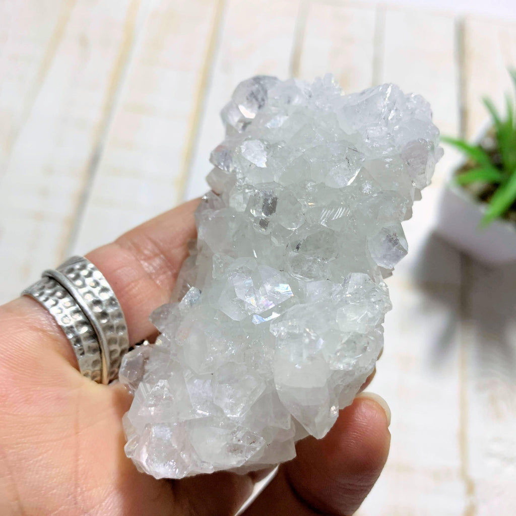 High Vibration Quartz Druzy & Clear Apophyllite Specimen Inclusions From India - Earth Family Crystals
