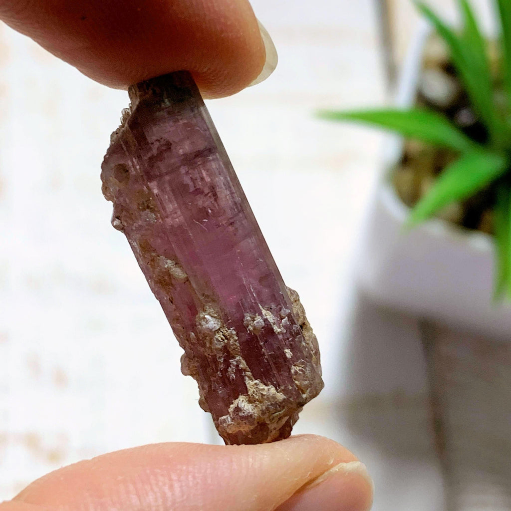 Gorgeous Natural Pink Tourmaline Collectors Point From Brazil - Earth Family Crystals
