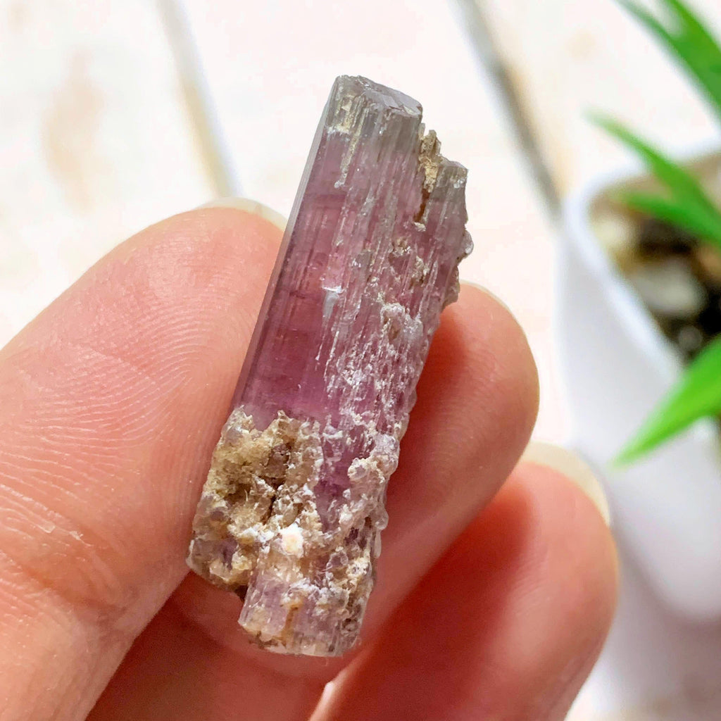Gorgeous Natural Pink Tourmaline Collectors Point From Brazil - Earth Family Crystals
