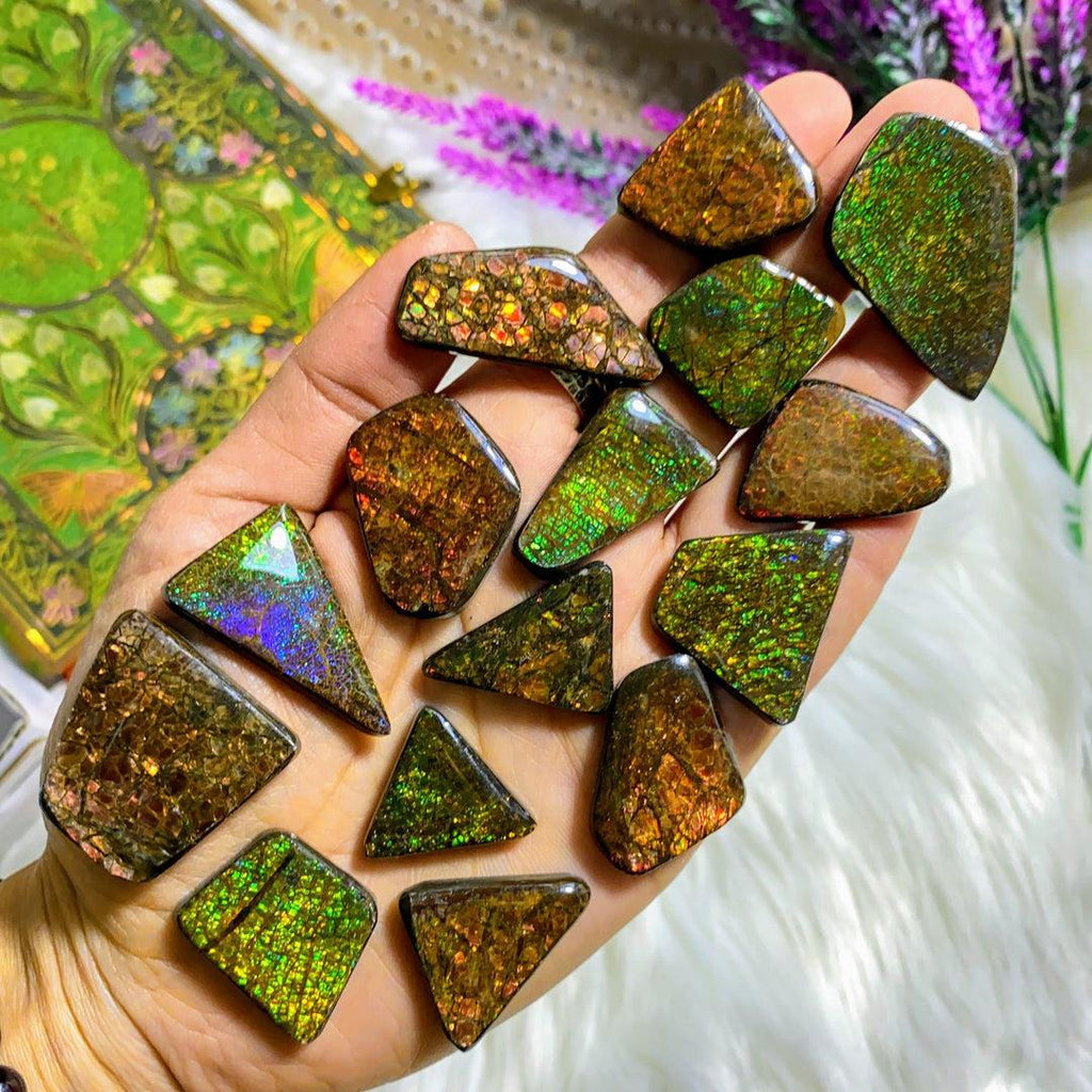 SPECIAL DEAL! One Multi Flash Alberta Ammolite Fossil Cabochon ~ Perfect for Crafting - Earth Family Crystals
