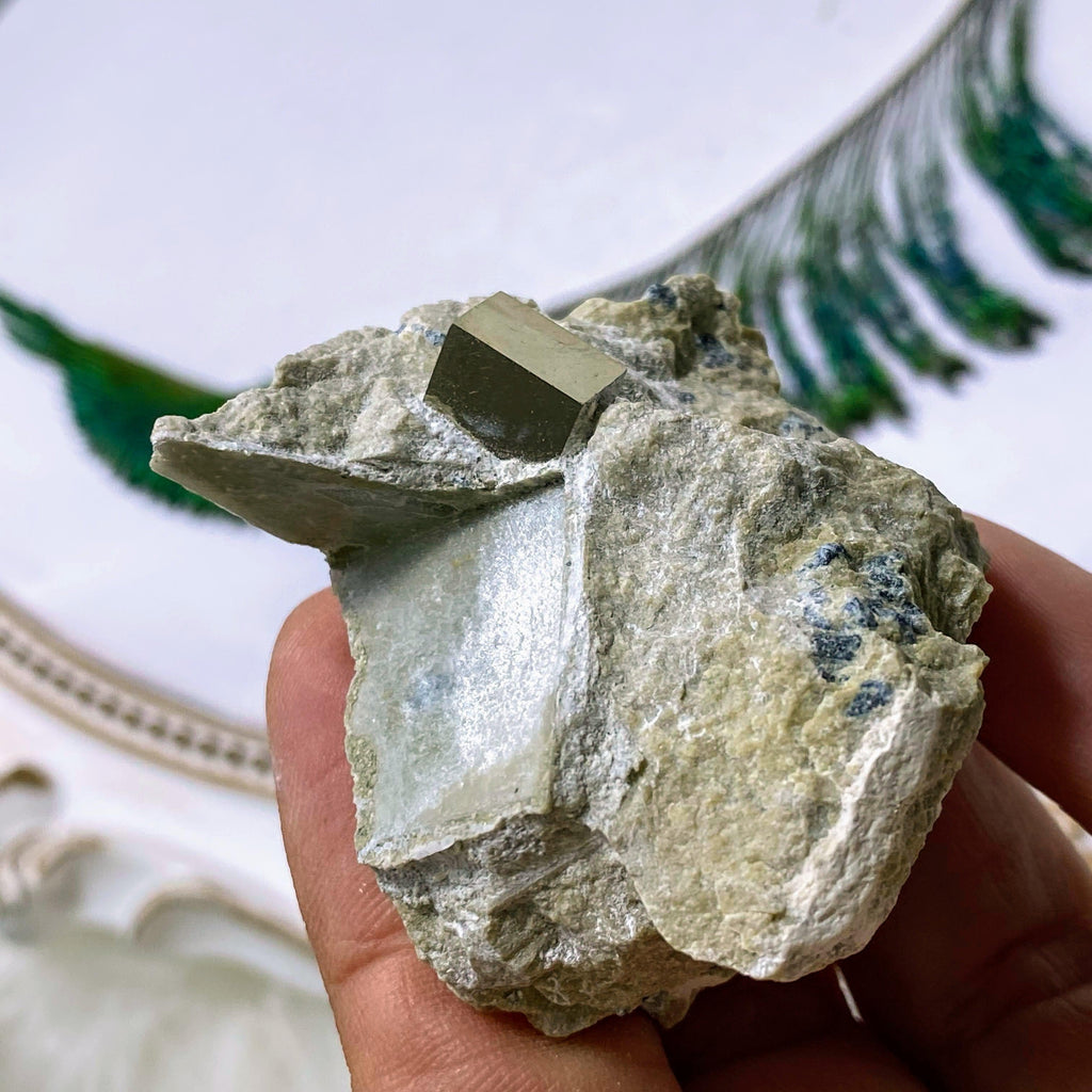Unique Small Pyrite Cube Nestled in Matrix ~Locality: Spain - Earth Family Crystals