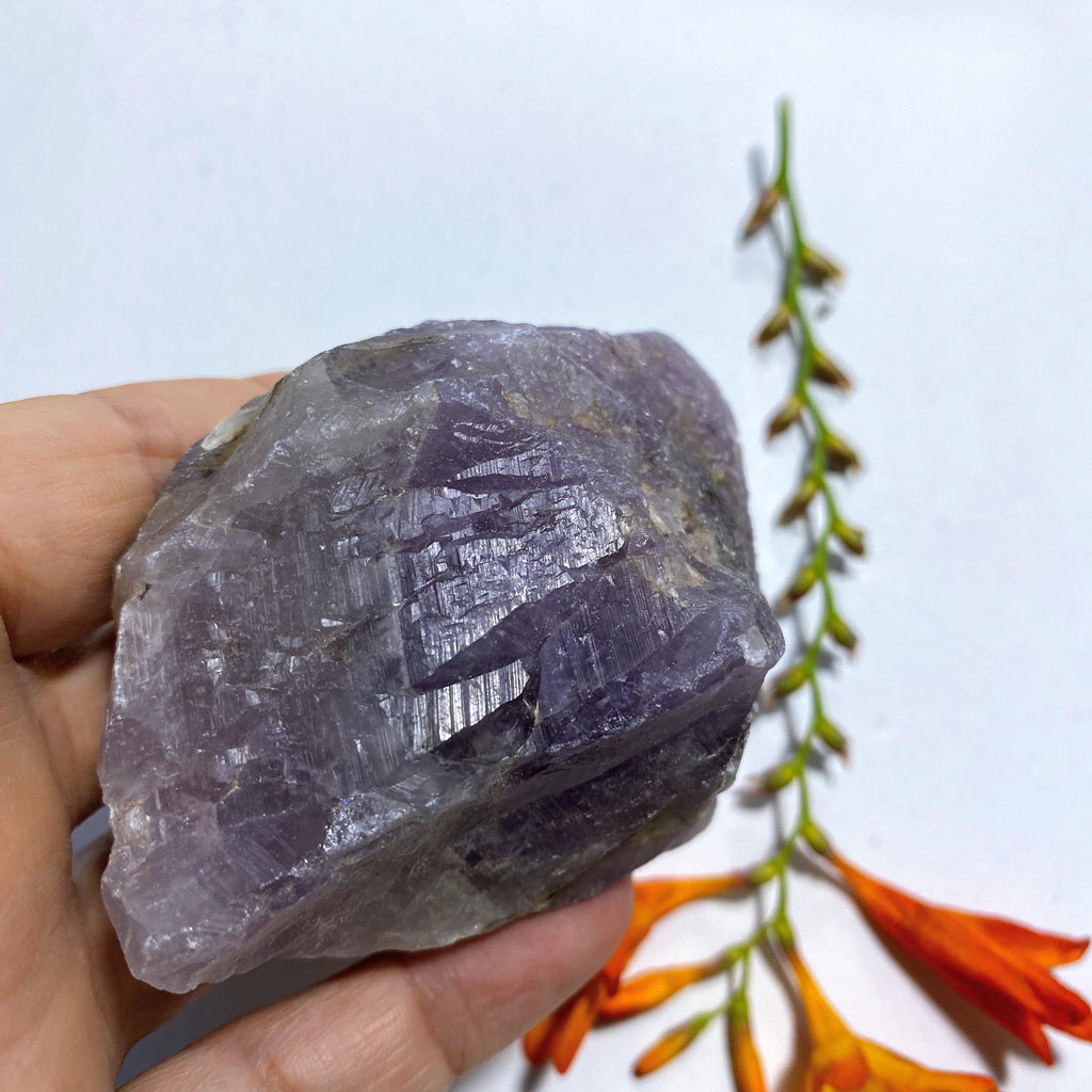 Genuine Auralite-23 Point Specimen ~Locality Ontario, Canada - Earth Family Crystals