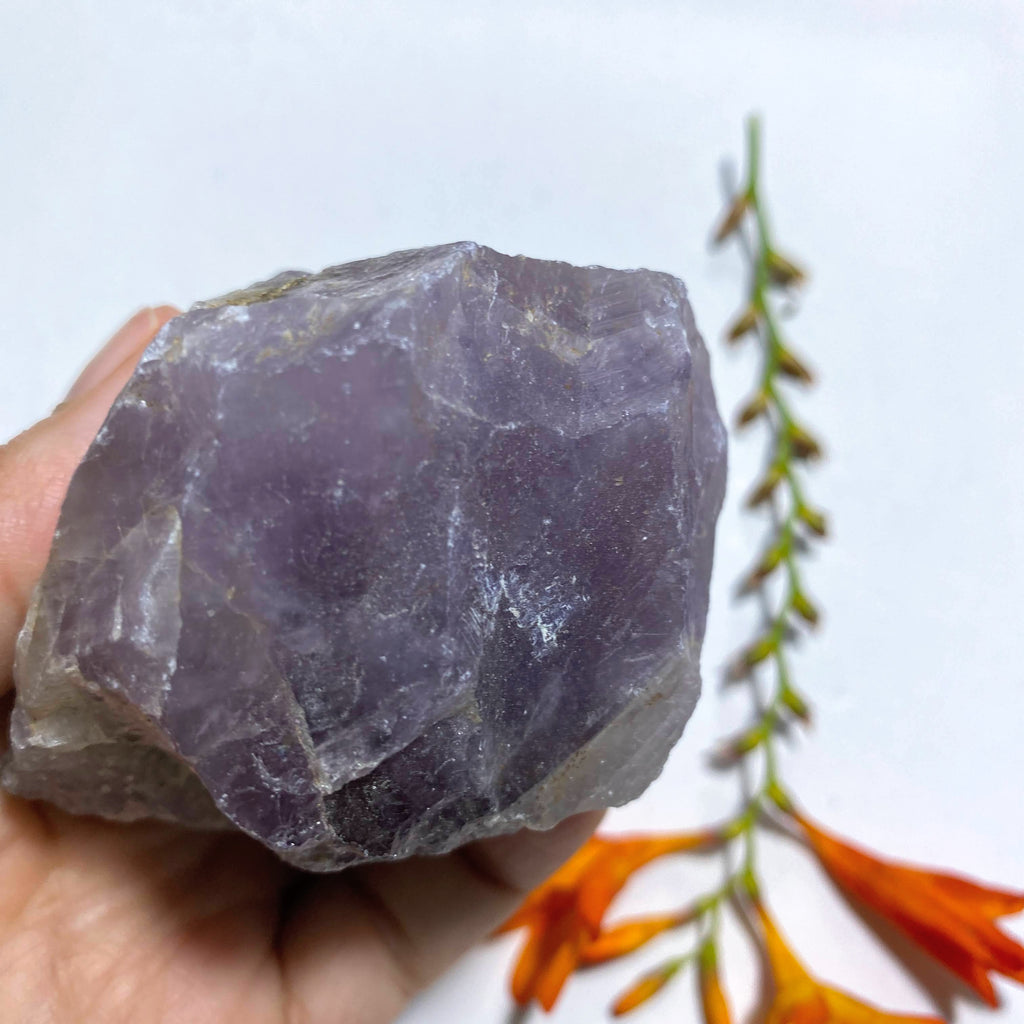 Genuine Auralite-23 Point Specimen ~Locality Ontario, Canada - Earth Family Crystals
