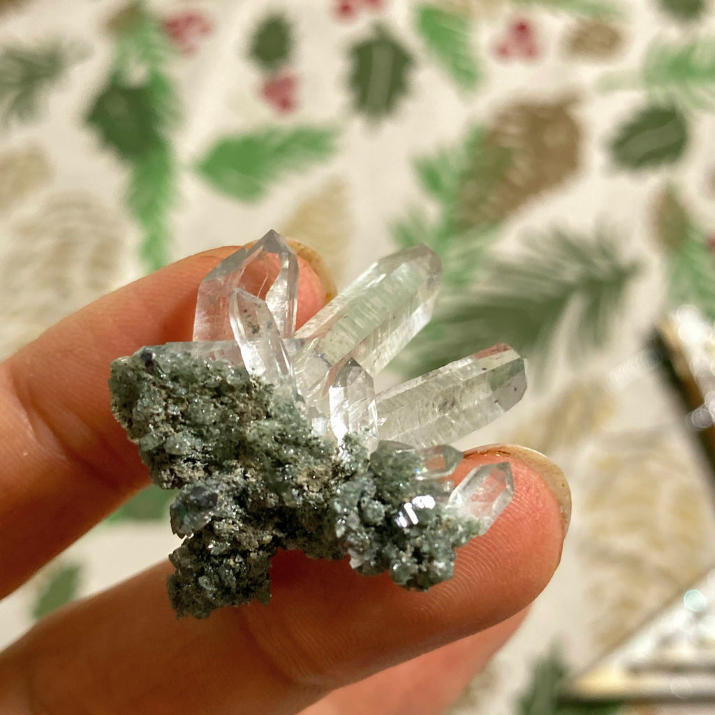 Precious Gemmy Samadhi Green Himalayan Quartz Multi Point Cluster - Earth Family Crystals