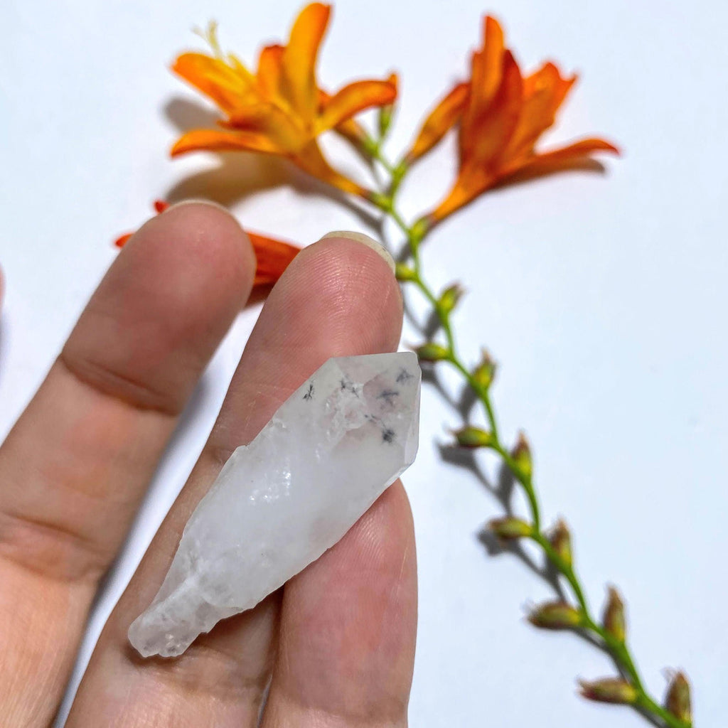 Rare & Unusual Star Hollandite Dainty Specimen ~Locality Madagascar #1 - Earth Family Crystals
