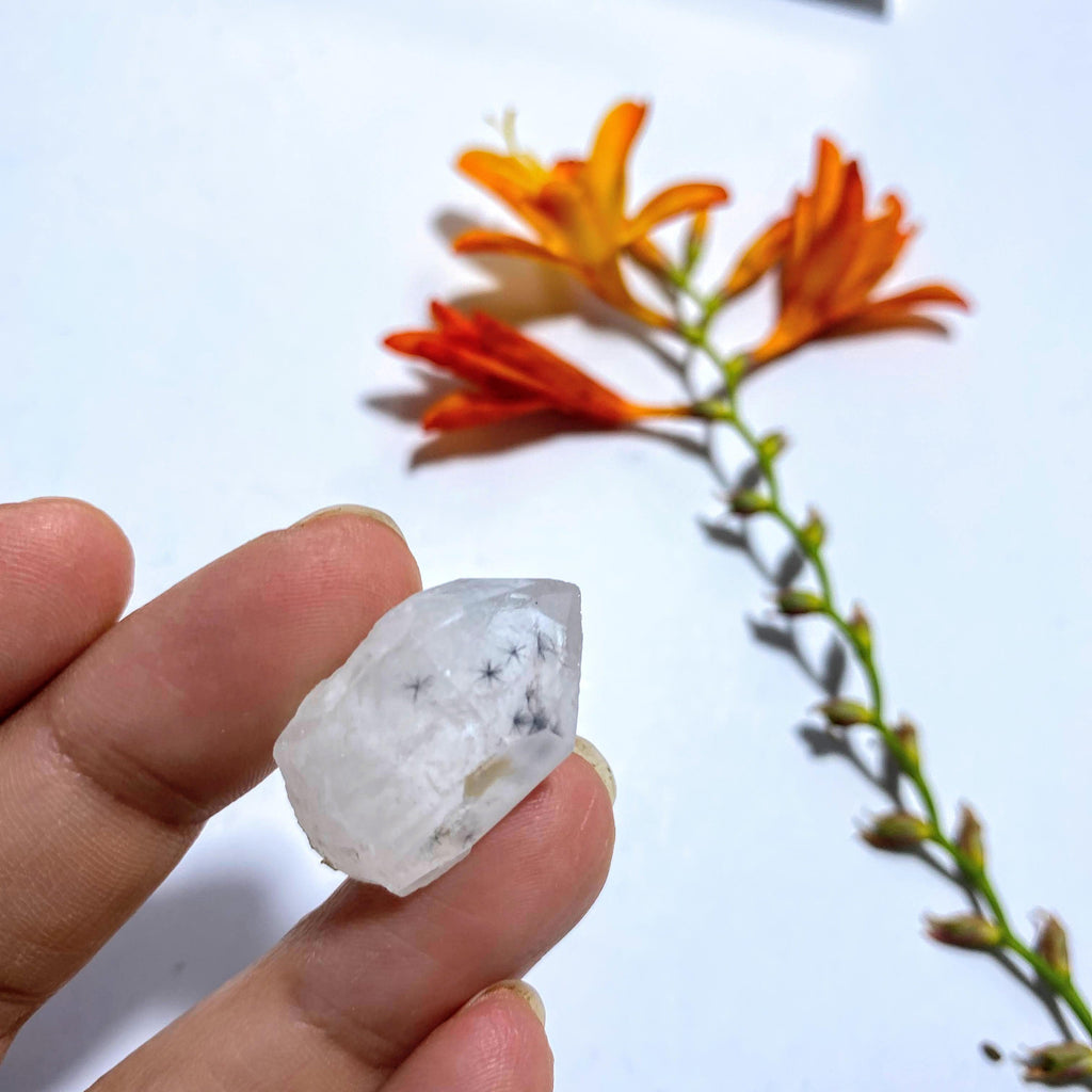 Rare & Unusual Star Hollandite Dainty Specimen ~Locality Madagascar #2 - Earth Family Crystals