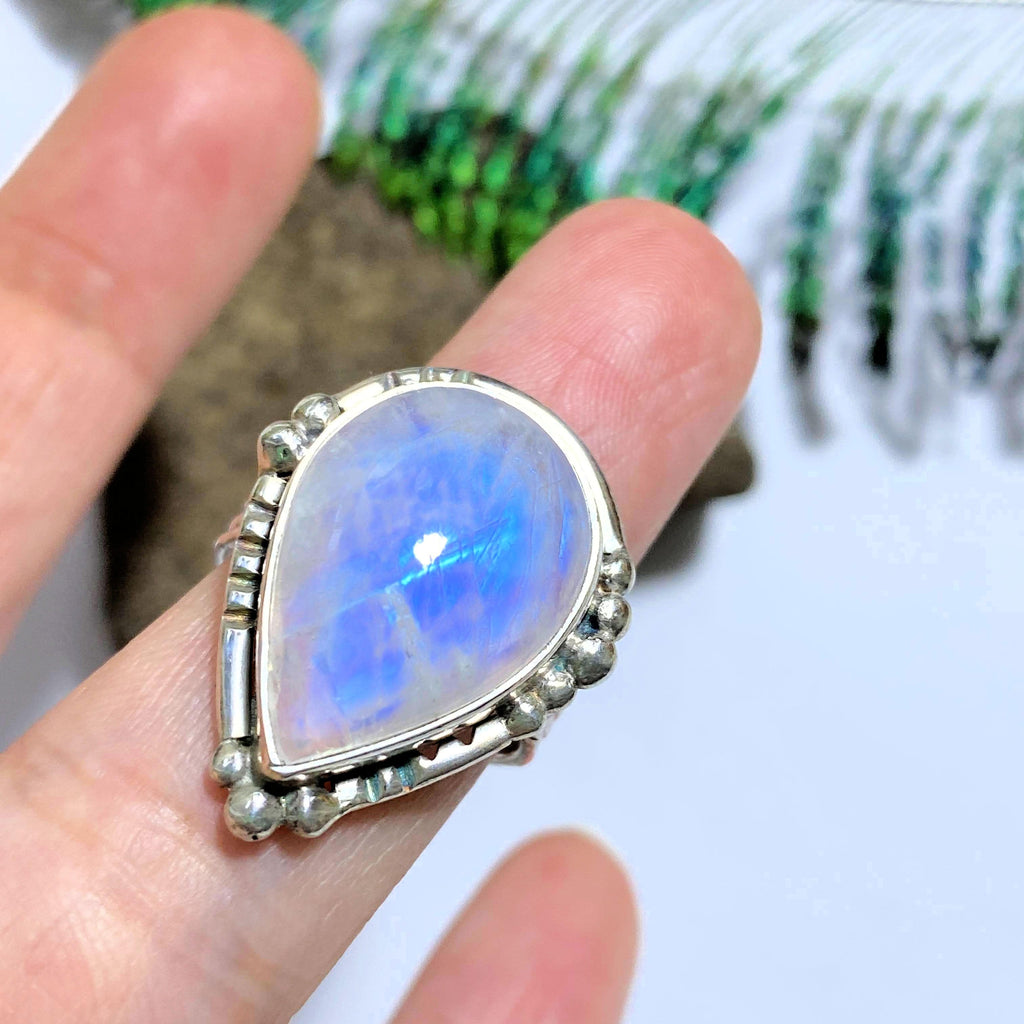 Royal Blue Flashes Rainbow Moonstone Sterling Silver Ring (Size 7) - Earth Family Crystals