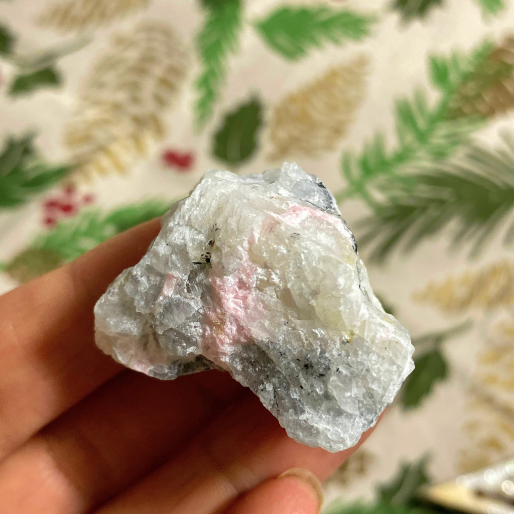 Very Rare ! Blooming Pink Tugtupite & White Natrolite Collectors Specimen From Greenland - Earth Family Crystals